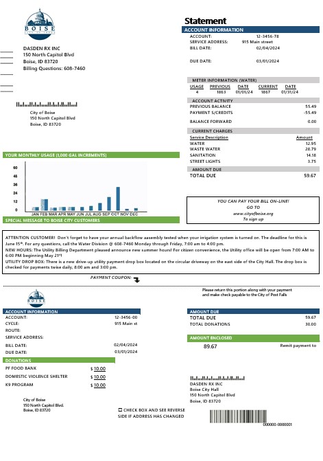 USA Idaho Boise City of Trees water business utility bill template in Word and PDF formats